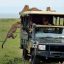 4-days-masai-mara-and-lake-nakuru-safari-all-inclusive-tour-2-34133_1574157370